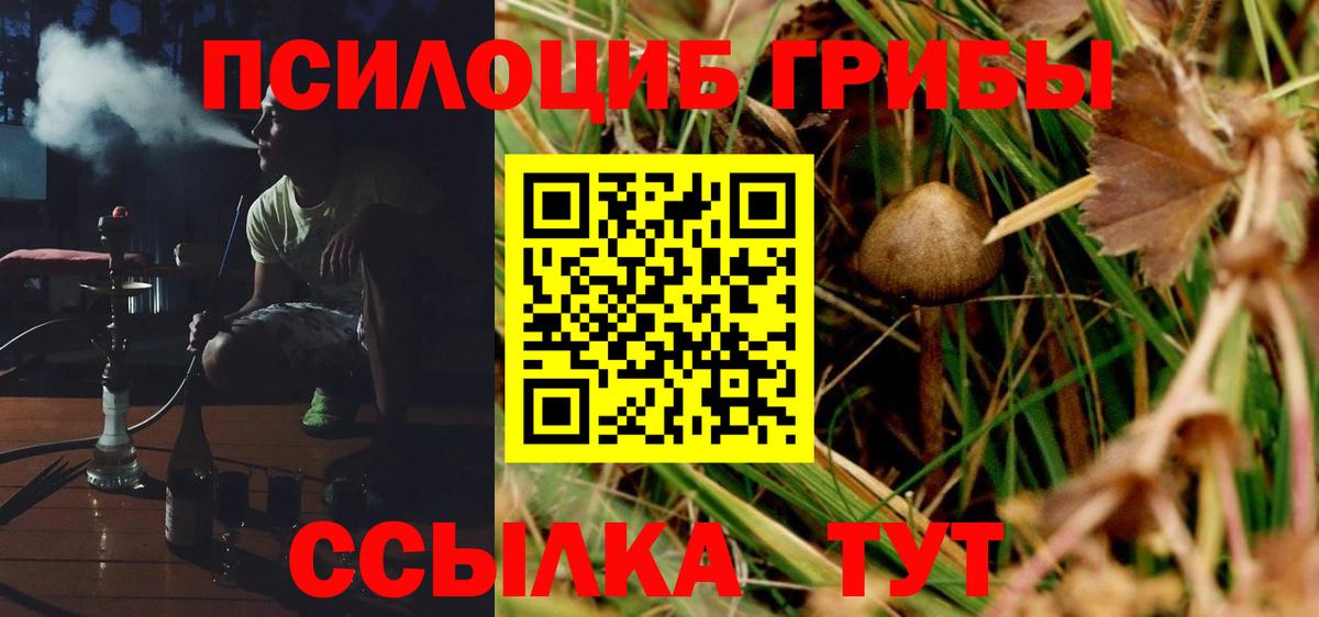 Псилоцибиновые грибы мицелий Егорьевск
