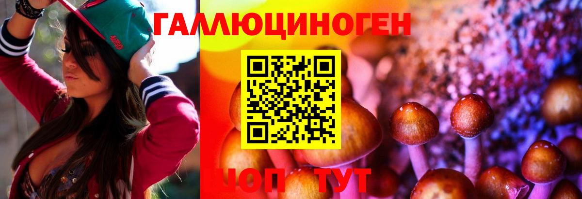 Псилоцибиновые грибы GOLDEN TEACHER  Вход с VPN  Егорьевск 