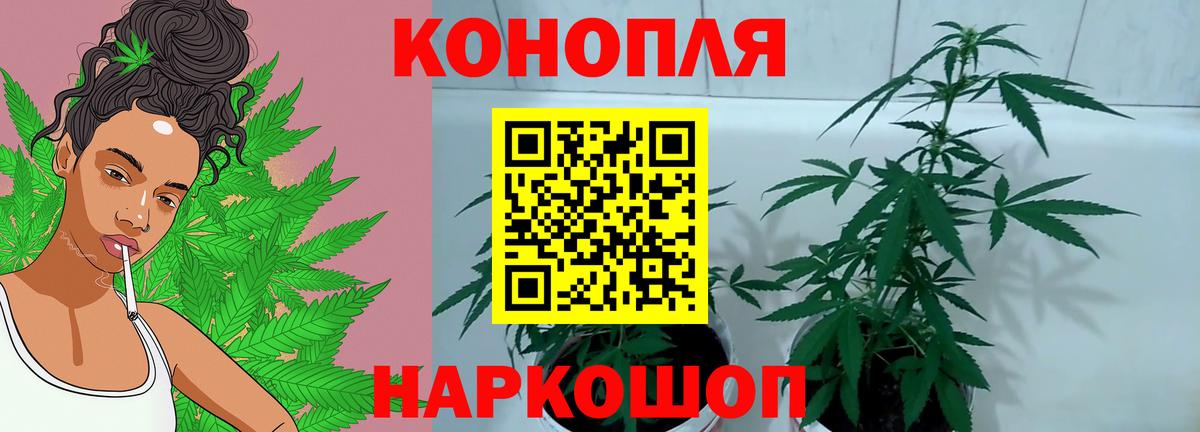 Шишки марихуана MAZAR  Каннабис план  Вход с VPN  Егорьевск  Бошки Шишки марихуана  МАРИХУАНА конопля 